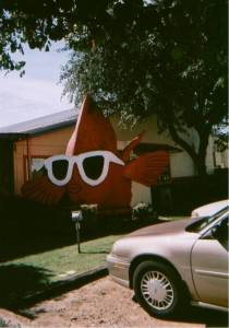 Fish at Chuy's on Lamar