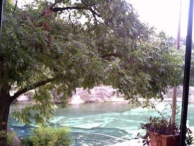 Barton Springs